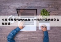 小程序開(kāi)發(fā)代理怎么樣（小程序開(kāi)發(fā)代理怎么樣賺錢）