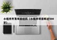 小程序開發(fā)項目經歷（小程序項目概述500字）